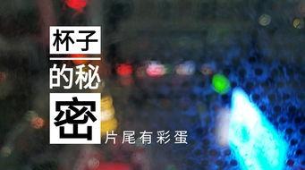 甘肃饭店爆料视频最新,揭秘背后惊人真相